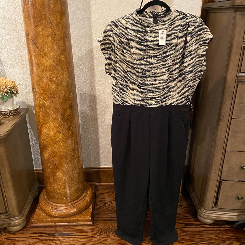 New Jumpsuit from Express.